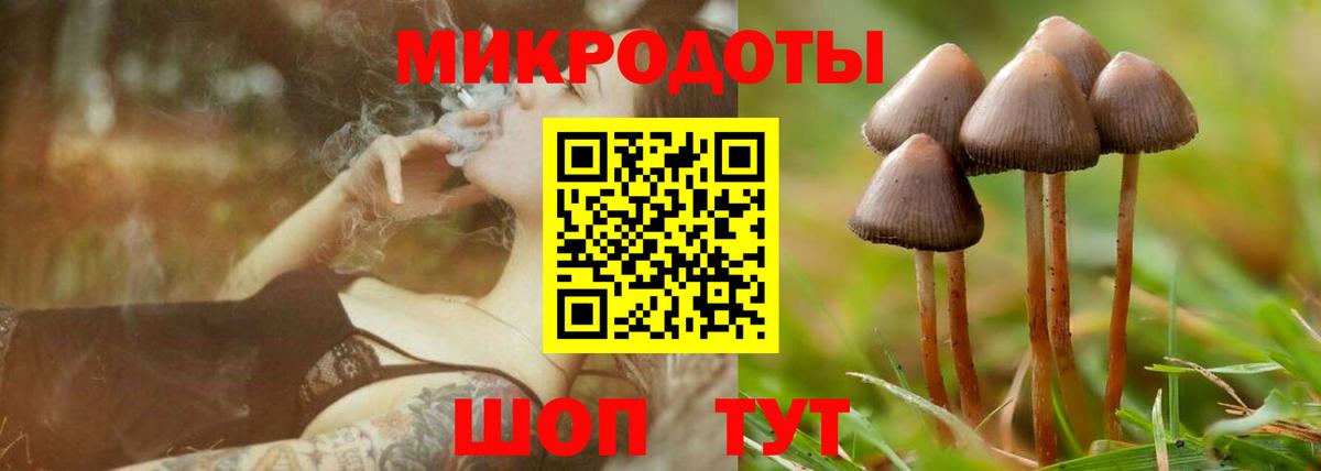 Псилоцибиновые грибы прущие грибы  Вход с VPN  Чита  купить закладку  Галлюциногенные грибы прущие грибы 